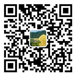 全民彩票在线登录官网